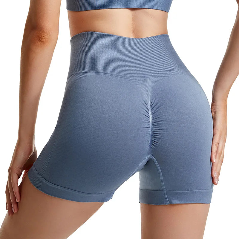 Fitness Tops & Shorts Seamless Sports Set