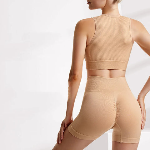 Fitness Tops & Shorts Seamless Sports Set