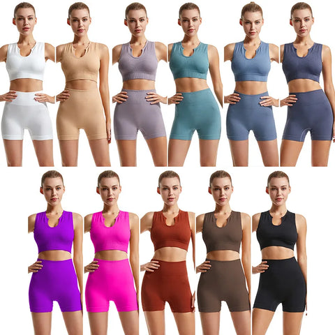 Fitness Tops & Shorts Seamless Sports Set