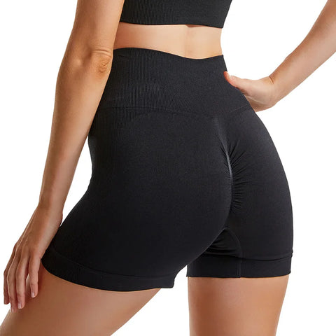 Fitness Tops & Shorts Seamless Sports Set