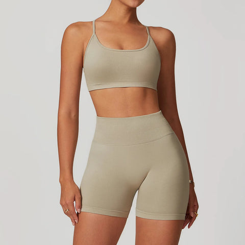 Premium Material Seamless Tops & Shorts Yoga Set