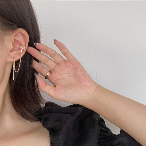 Ins Zircon Long One-piece Tassel Earrings Female Cold Style Flower Stud Earrings Ear Clip